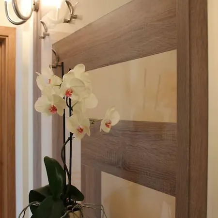 Апартамент Мир Apartment *